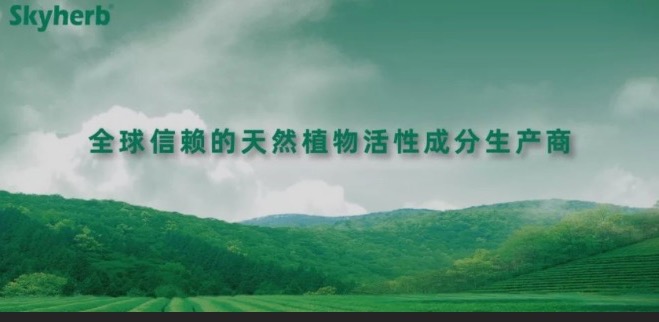多年不懈努力，終獲官方青睞！